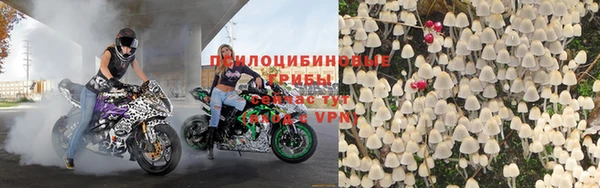 каннабис Гусев